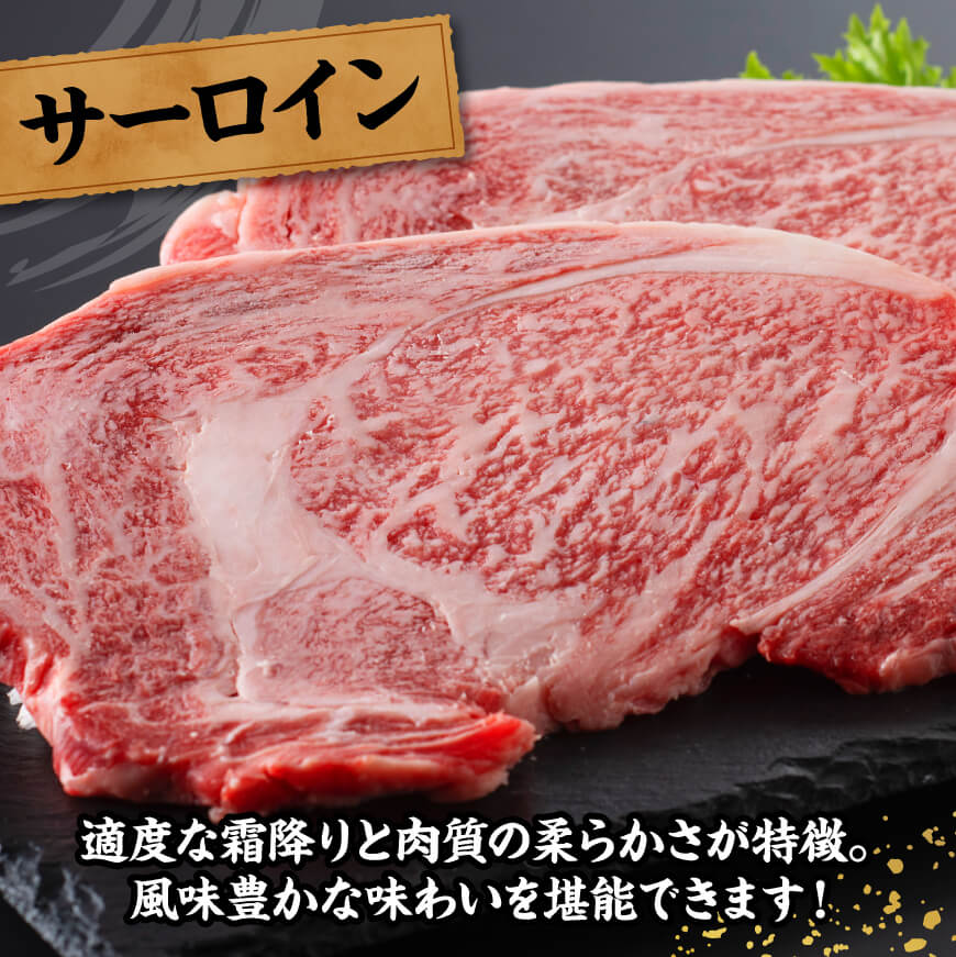 宮崎牛 サーロインステーキ 600g 【 肉 牛肉 国産 宮崎県産 黒毛和牛 サーロインステーキ 】