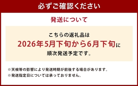 とうもろこし ゴールドラッシュ 5本～8本入 （ 約2kg ） フルーツコーン 甘い 野菜 トウモロコシ 冷蔵 【 2026年5月下旬～6月下旬発送予定 】