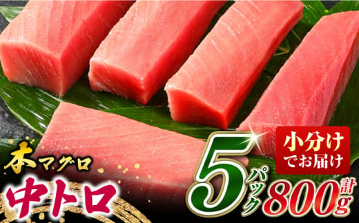 対馬産 養殖 本マグロ 中トロ 800ｇ(5パック)《対馬市》【対海】 マグロ 鮪 まぐろ 本鮪 中とろ [WAH019]