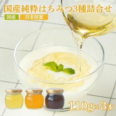 ふるさと納税 福島市 国産純粋はちみつ3種詰合せ110g×3本No.0084