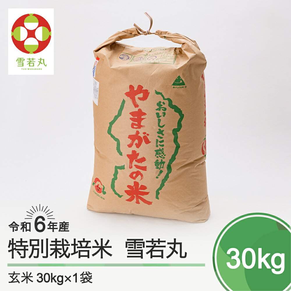【ふるさと納税】 米 令和6年産 雪若丸 30kg 大石田町産 特別栽培米 玄米 送料無料 ※沖縄・離島への配送不可 ja-yugxb30