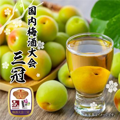 ふるさと納税 米沢市 東光 吟醸 梅酒 500ml × 2本 セット |  | 01