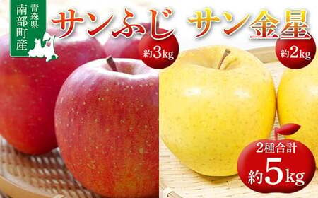 青森県 南部町産 りんご サンふじ＆サン金星 約5kg 【盛果園】 2種セット F21U-367