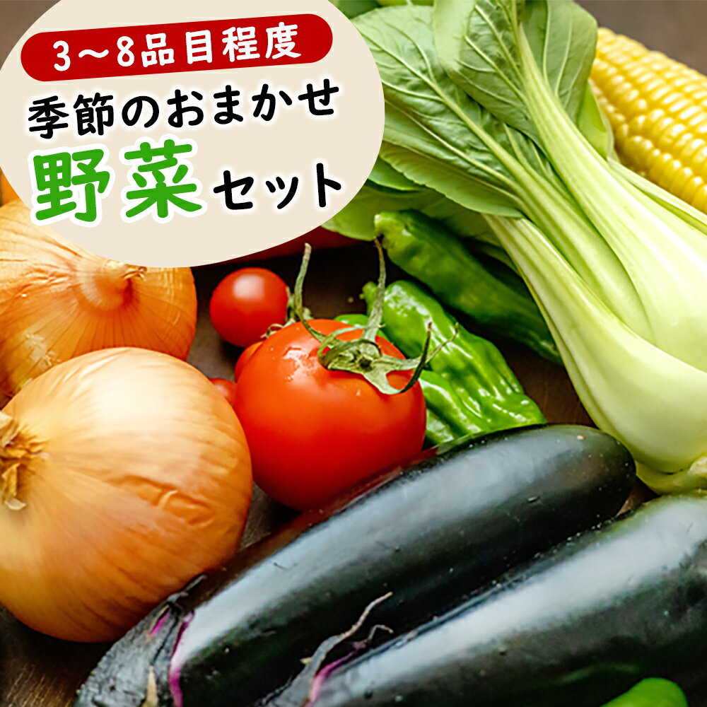 【ふるさと納税】季節のおまかせ野菜セット 3〜8品目程度 わらく農園《出荷時期をお選びください》熊本県 葦北郡 津奈木町 野菜 野菜セット