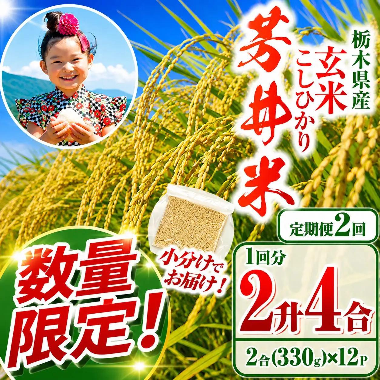 【ふるなび限定】【定期2回】【数量限定】【令和8年度産】那珂川町産芳井米 玄米 330g（2合分）×12 | こしひかり 米 ごはん  ふっくら もちもち  ふるさと納税 那珂川町 栃木県