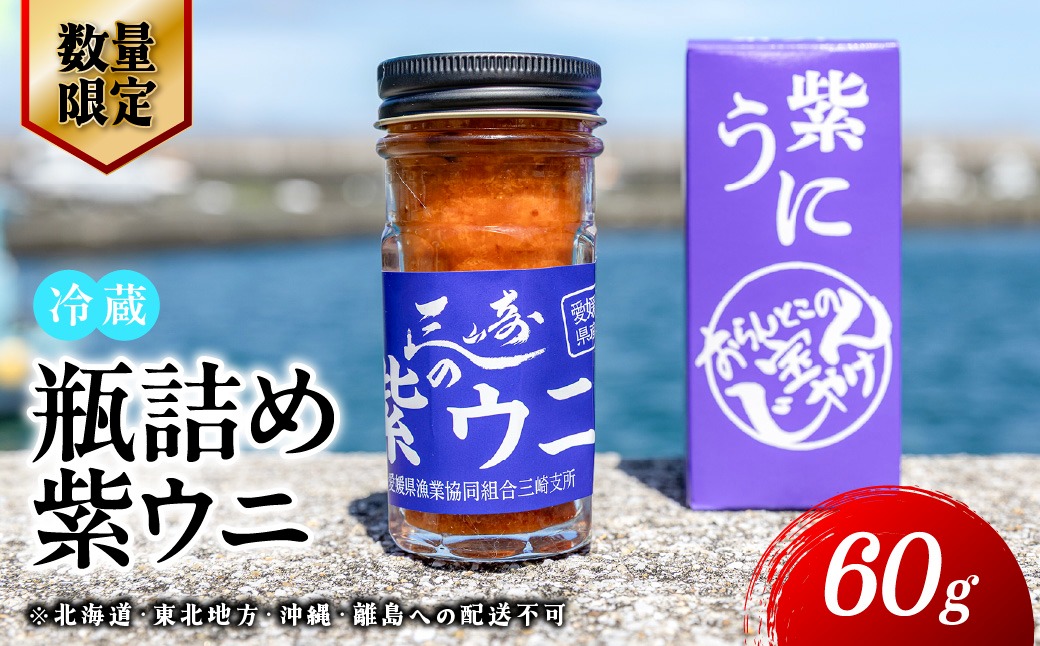 【数量限定】瓶詰め紫ウニ（60g・単品） 冷蔵 ※北海道・東北地方・沖縄・離島への配送不可     IKTJ023