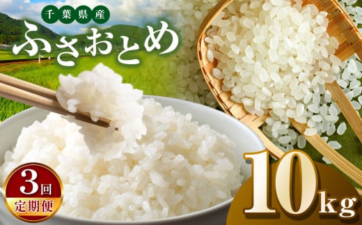 【令和7年産】【3回定期便】君津市産ふさおとめ（精米）10kg  | JA さだもと 米 こめ お米 おこめ 白米 精米  千葉県 君津市 きみつ