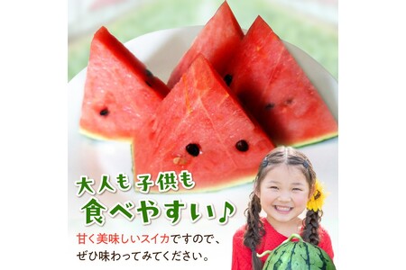 【先行予約／数量限定100】にしまるスイカ 秀品 1玉入り（露地栽培）（2025年7月中旬から発送）