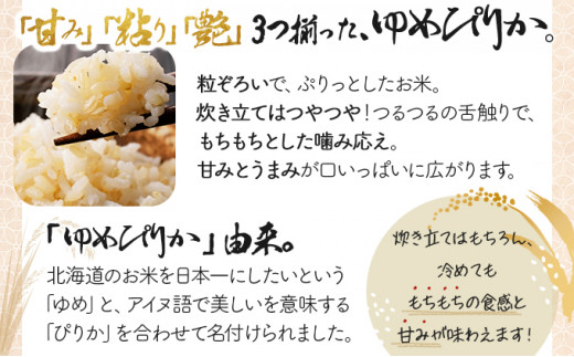 ＜令和8年産＞『100%自家生産玄米』善生さんの自慢の米 玄米ゆめぴりか 20kg｜北海道 岩見沢市 お米 新米【a104-108】【06130】 20kg