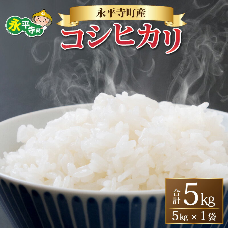【ふるさと納税】【白米】 令和7年度産 永平寺町産 コシヒカリ 5kg 【10月上旬より順次発送】 / こめ ごはん 精米 お試し