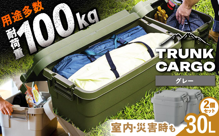 トランクカーゴ グレー Sサイズ 2個組 キャンプ ボックス 収納 アウトドア / 恵那市 / 東谷株式会社　明智流通センター [AUAD029]