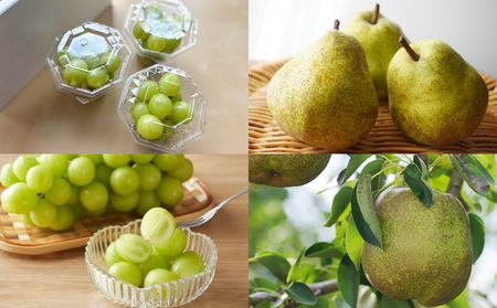 【定期便4回】山形人気フルーツベスト4！ お福分け定期便パート2【令和8年産先行予約】FS25-131