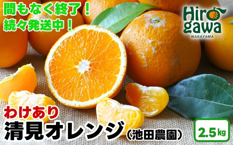 
            【清見 オレンジ 家庭用 2.5kg+75g（痛み補償分） 光センサー / 訳あり 清見オレンジ 清見タンゴール きよみ 清美 甘い 和歌山 柑橘 ※2月上旬～6月上旬に順次発送 ※北海道・沖縄・離島への配送不可 【ikd011-c-2d5A】
          