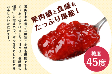 ソントン ファミリーカップ つぶつぶイチゴジャム 130g×6個入 G13-006