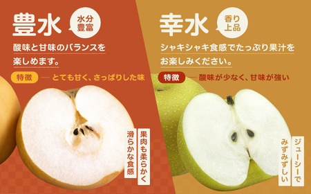長野県産 溢れる果汁 ジューシーな 梨 幸水 豊水 約10kg 秀品 〈2025年8月下旬～9月下旬発送〉| 果物 くだもの フルーツ 梨 なし 幸水 豊水 長野県 信州 南信州 飯田市