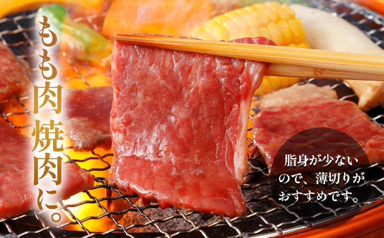 飛騨牛 ももブロック 280g ローストビーフ ステーキ 焼肉 A5 A4 もも もも肉 ブロック肉 塊肉 国産 牛 冷凍 和牛 牛肉 豪華 ギフト 贈答  にく お肉 肉 東白川村 岐阜 飛騨 贅沢