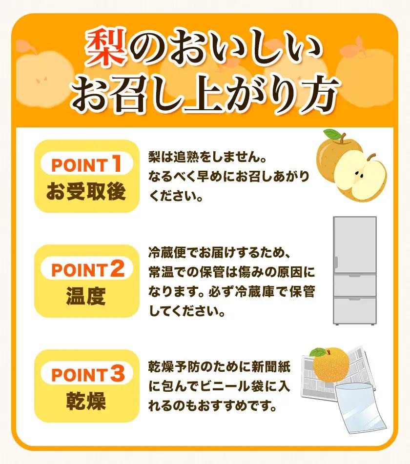 梨 定期便 荒尾梨 4kg × 2回