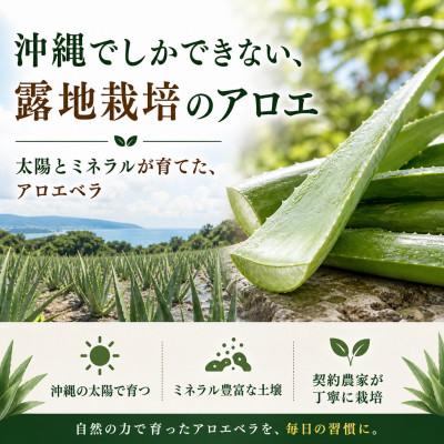 ふるさと納税 今帰仁村 【有機JAS認証】琉球アロエパウチ 葉肉無し 1000ml×10袋 |  | 01