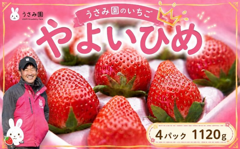 
                  いちご 約1120g 【選べる発送時期（1月～3月）】 4パック  やよいひめ 苺 イチゴ 果物 フルーツ くだもの 旬 デザート 産地直送 農家直送 数量限定 期間限定 旬 お取り寄せ 贈答用 プレゼント ギフト 贈り物 ichigo strawberry itigo ふるさと納税いちご 茨城県 鉾田市 うさみ園
                