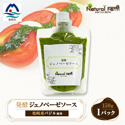 【ふるさと納税】発酵ジェノベーゼソース(150g×1個)【鹿児島県枕崎産 バジル使用】Y0-38【配送不可地域：離島】【1611615】