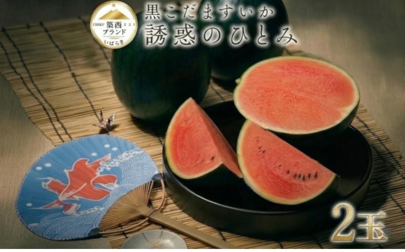 
                  スイカ こだますいか 2玉 誘惑のひとみ 黒小玉すいか 数量限定 期間限定 夏 初夏 人気 フルーツ  すいか 西瓜 コダマスイカ 産地直送 果物 くだもの デザート 茨城 茨城県 筑西市 【2026年先行予約】
                