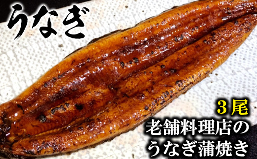 
AE050老舗料理店のうなぎ蒲焼き（１７０ｇ×３尾）
