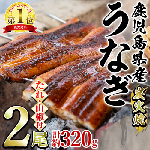 【0174319a】東串良町のうなぎ炭火蒲焼(無頭)(2尾・計約320g・タレ、山椒付) うなぎ 高級 ウナギ 鰻 国産 蒲焼 蒲焼き たれ 鹿児島 ふるさと 人気【アクアおおすみ】