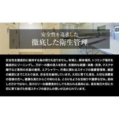 ふるさと納税 南阿蘇村 馬刺し 赤身 馬刺し 500g 【純 国産 熊本 肥育】 《3-7日以内に出荷予定(土日祝除く)》 |  | 01