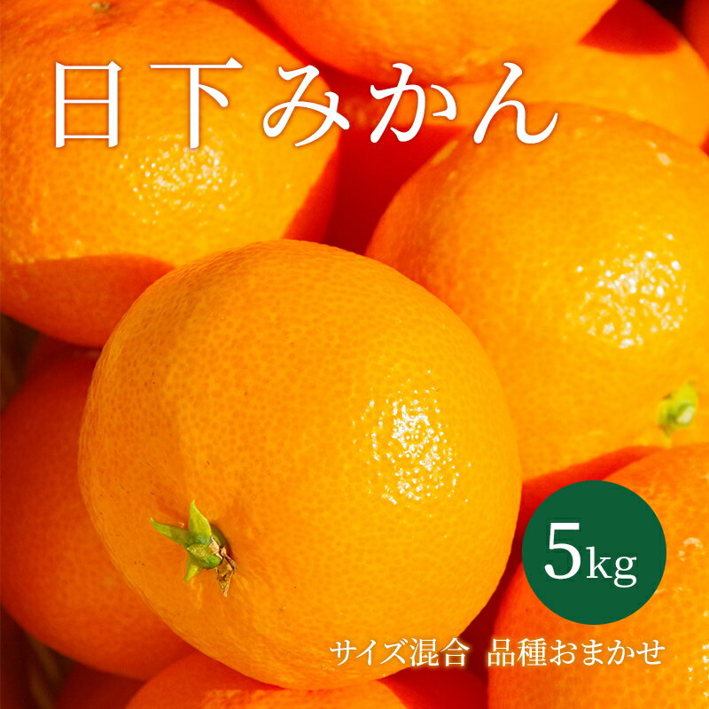 【ふるさと納税】【2025年10月以降順次発送】日下みかん サイズ混合 2S～2L 5kg 秀品 果物類 柑橘類 フルーツ 農薬 有機肥料 光センサー 高品質 おいしい 　お届け：2025年10月～2026年1月末