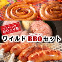 【ふるさと納税】豪快に焼くべし！ワイルドBBQソロキャンプセット ソーセージ ウインナー ハム 骨付き ペッパー BBQ バーベキュー ソロキャンプ キャンプ ひとり 手軽