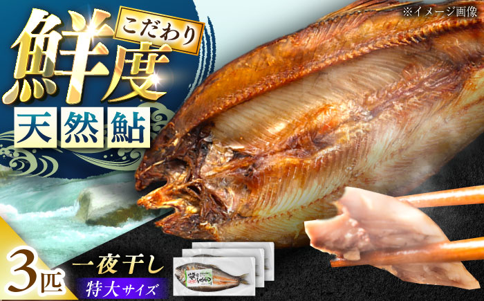 天然あゆの一夜干し 特大 3匹セット / あゆ 天然 鮎 / 恵那市 / 恵那物産館 [AUFS003]
