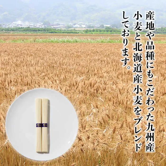島原手延そうめん 山道そうめん 特級品 50g×5束×2袋 / そうめん 島原そうめん 手延べ 麺 素麺 / 南島原市 / そうめんの山道 [SDC004]