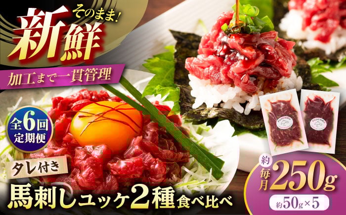 
            【全6回定期便】「フジチク」ユッケ 2種の贅沢 食べ比べセット /熊本県 菊陽町 ゆっけ ユッケ 新鮮 馬刺し 馬刺 熊本 菊陽 小分け 赤身 ユッケ 280g 低カロリー 高タンパク 人気 絶品 熊本県 菊陽町 馬肉 専用醤油 たれ  晩酌 つまみ お酒の肴 あっさり日本酒 ばさし 専用醤油付き 生姜付き  赤身 国産馬刺し 冷凍【株式会社フジチク】[BHAD114]
          