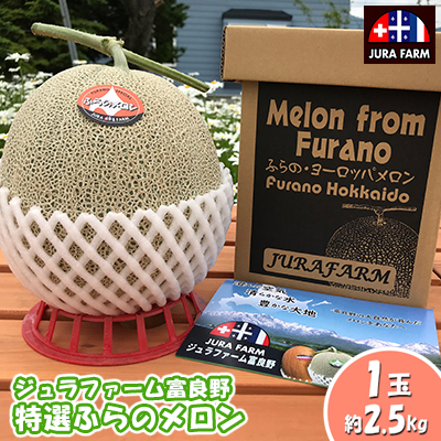 【2026年6月下旬～発送】特選 ふらの メロン 1玉 約2.5kg 北海道 富良野市 赤肉メロン (ジュラファーム富良野) メロン フルーツ 果物 新鮮 甘い 贈り物 ギフト 道産 ジューシー おやつ ふらの ブランド 夏 