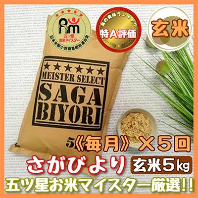 ふるさと納税 伊万里市 【毎月定期便】【玄米】 さがびより5kg【特A評価】(伊万里市)全5回