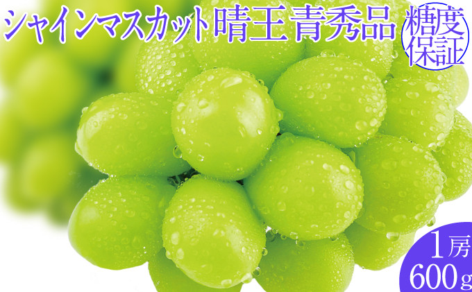 
            2026年予約受付中 シャインマスカット晴王 1房 約600g  7月～8月出荷 人気 岡山県産 種無し 皮ごと食べる みずみずしい  フレッシュ 晴れの国 おかやま 果物大国 ハレノフルーツ
          