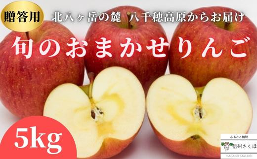 
〔RS-04〕農園にお任せ旬のリンゴ ５kg入り贈答箱【限定50箱】
