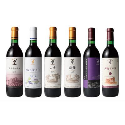 ふるさと納税 池田町 十勝ワイン 赤にこだわったビンテージ 6本セット |  | 01