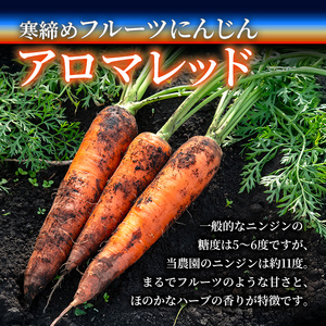 寒締めフルーツ にんじんジュース ～大地の恵み～ 200ml 10本入り ニンジン にんじん 有機野菜 有機 オーガニック JAS ジュース 常温 常温保存 贈答 ギフト 詰め合わせ 【株式会社レイン