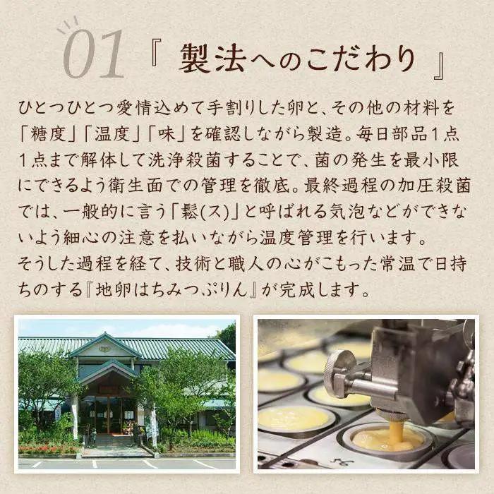 【お中元用】【お菓子の菊家】地卵はちみつぷりん 9個入