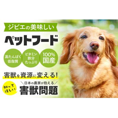 ふるさと納税 飯能市 ハンタージビエ・ワンモ　お試し3包[52211007]