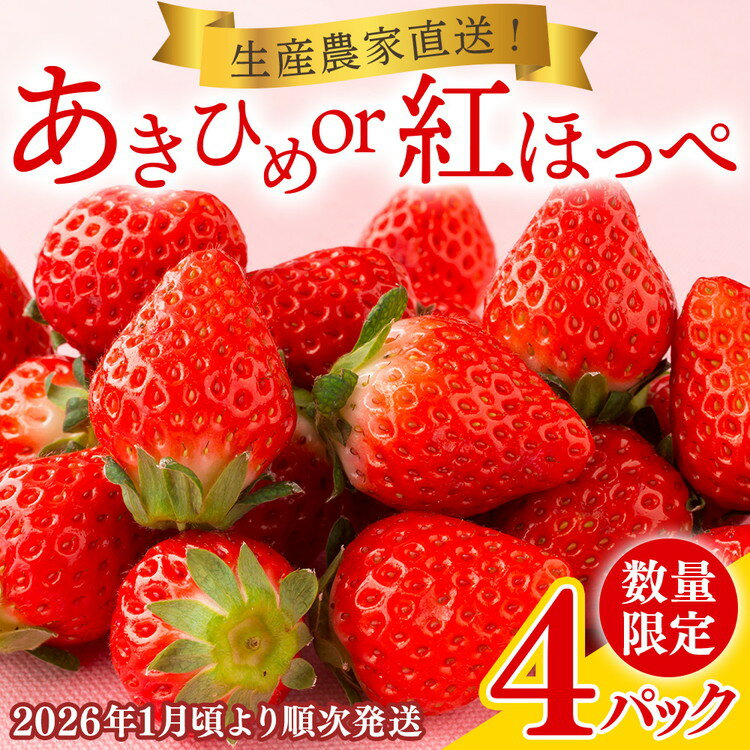 【ふるさと納税】12-7 岡戸農園　いちご（4パック）＊「あきひめ」あるいは「紅ほっぺ」数量限定　※2026年1月頃より順次発送予定　※沖縄・離島への配送不可