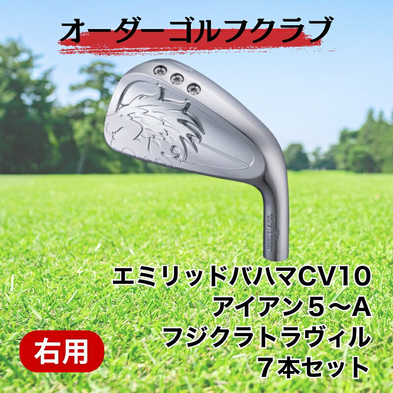 【ふるさと納税】ゴルフ ゴルフクラブ エミリッドバハマCV10 アイアン5〜A オーダーメイド｜F21
