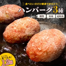 食べくらべたくなる! 3種の生ハンバーグ 80g×12個 計960g 食感の違いを堪能!