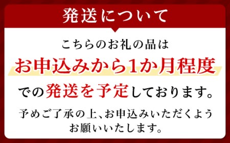 【ふるなび限定】PGJH010000 エスティ ローダー マイクロ エッセンス ローション BF 100mL 3個セット