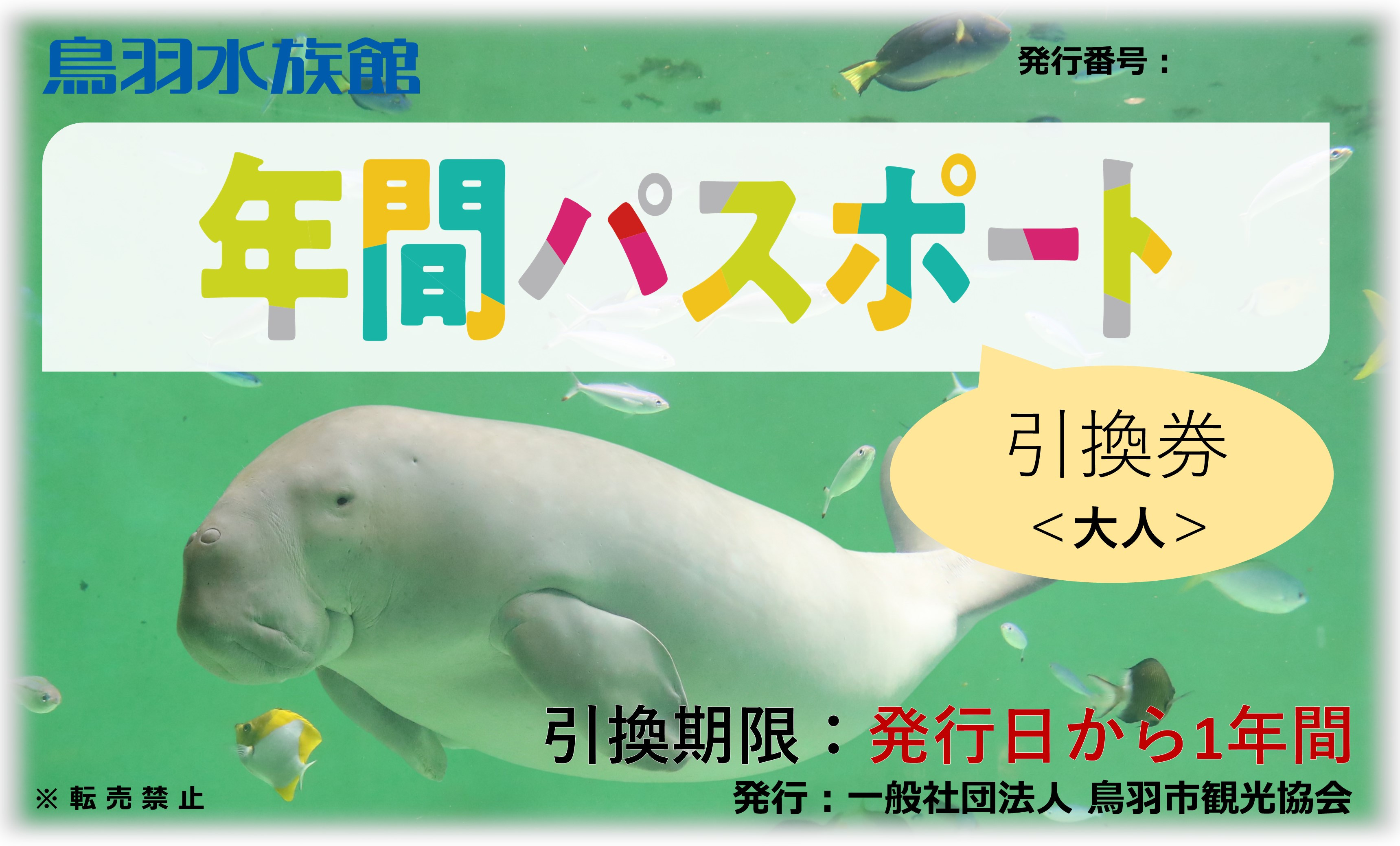 
30-53鳥羽水族館 年間パスポート 大人
