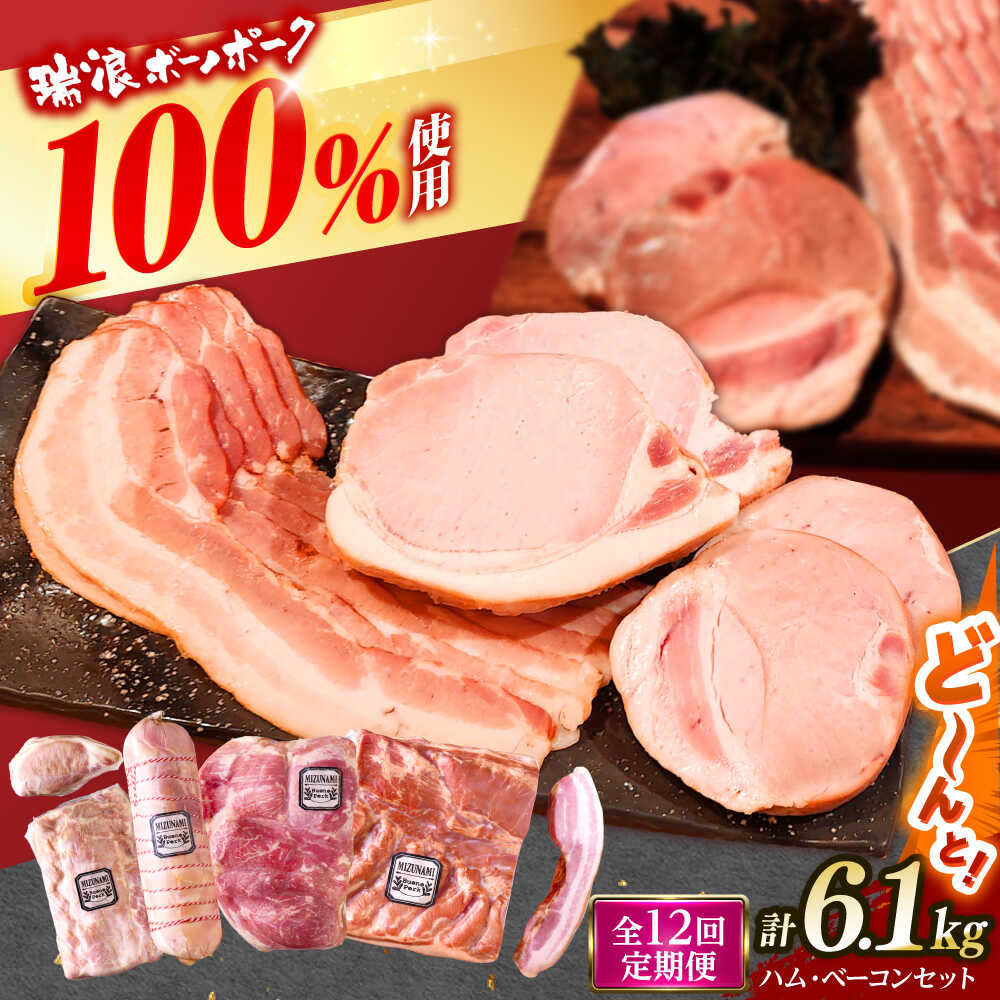 【ふるさと納税】【12回定期便】 ハム・ベーコン ブロック セット 瑞浪ボーノポーク 6.1kg (冷凍) 瑞浪市 / きなぁた瑞浪 詰め合わせ ギフト[AZCI115]