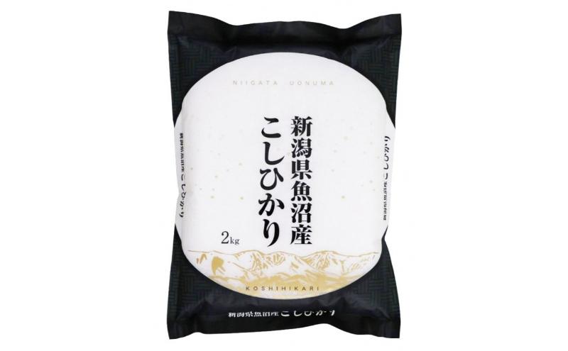 【新米】魚沼産コシヒカリ　4kg×全12回　米 コメ こしひかり 精米 ブランド米 お取り寄せ 十日町市