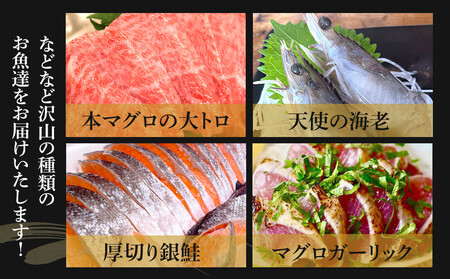 【定期便6ヶ月】まぐろや　特別セット【ふるさと納税】【まぐろ 鮪 本鮪 サーモン 海老 お刺身 海鮮 セット 福袋 キンメ きんめ お取り寄せ 御中元 お中元 お歳暮 父の日 母の日 贈り物 日本酒 