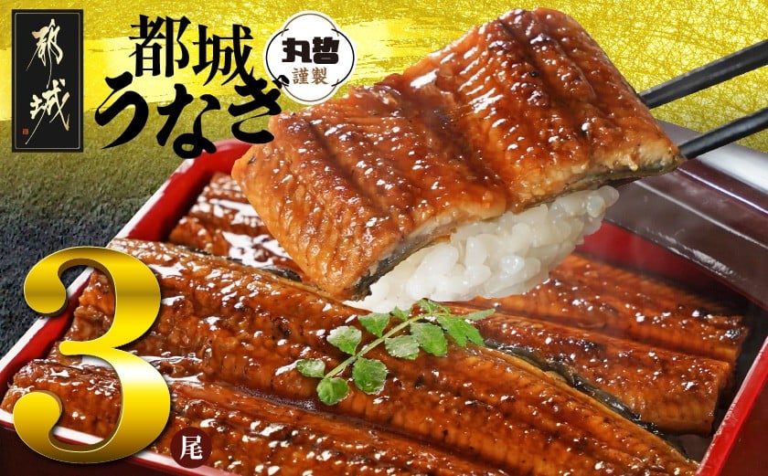 
            宮崎県育ちのうなぎ蒲焼3尾500g以上≪山椒・たれ付≫_AC-M301_(都城市) うなぎ蒲焼(有頭) 宮崎県産 真空 山椒・たれ付
          